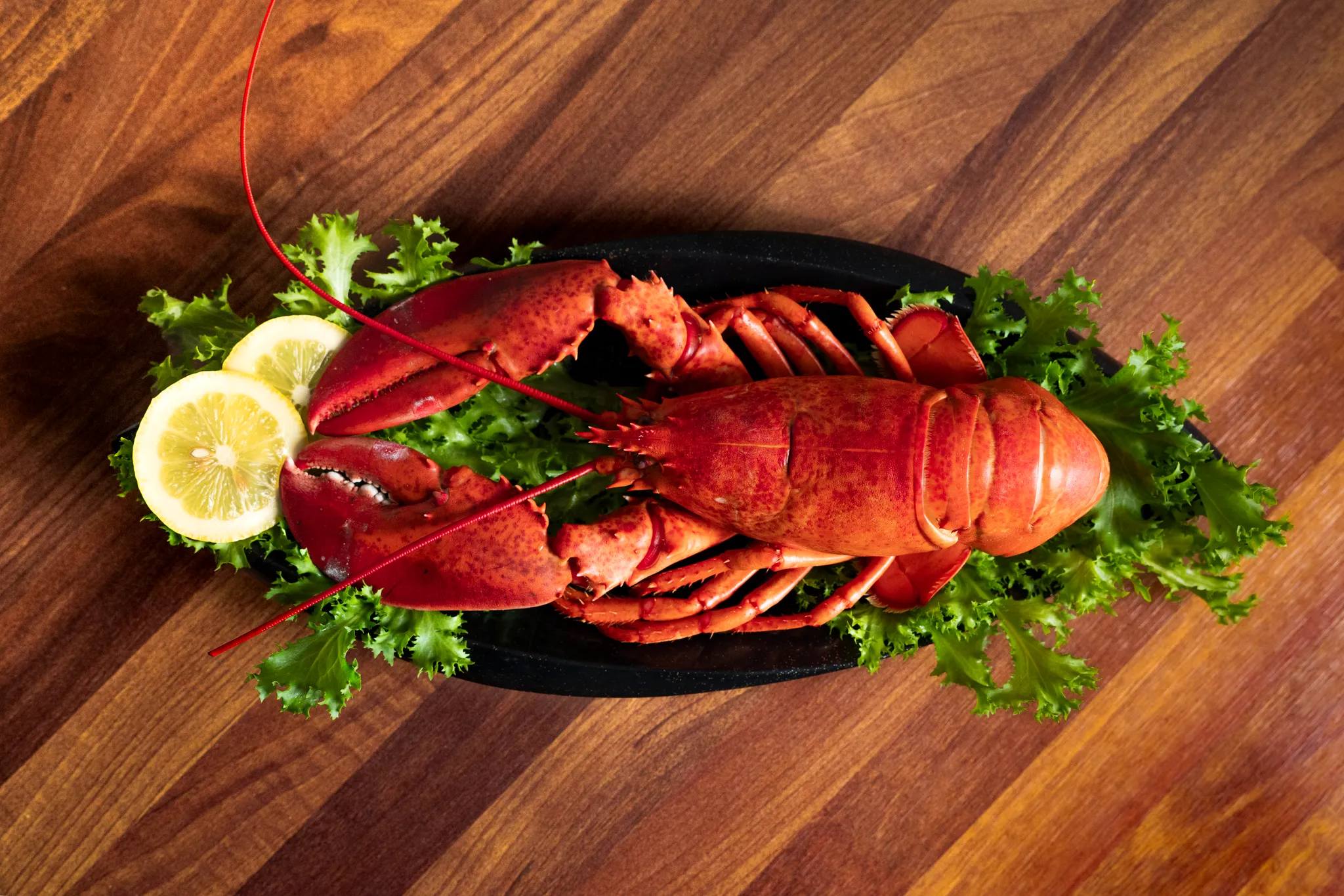 랍스터 요리 프레젠테이션 - 고급 요리